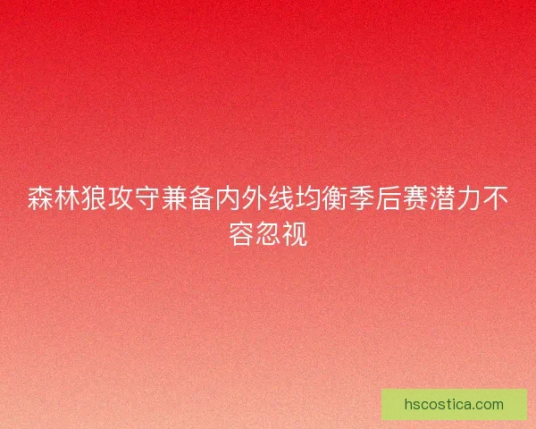 森林狼攻守兼备内外线均衡季后赛潜力不容忽视