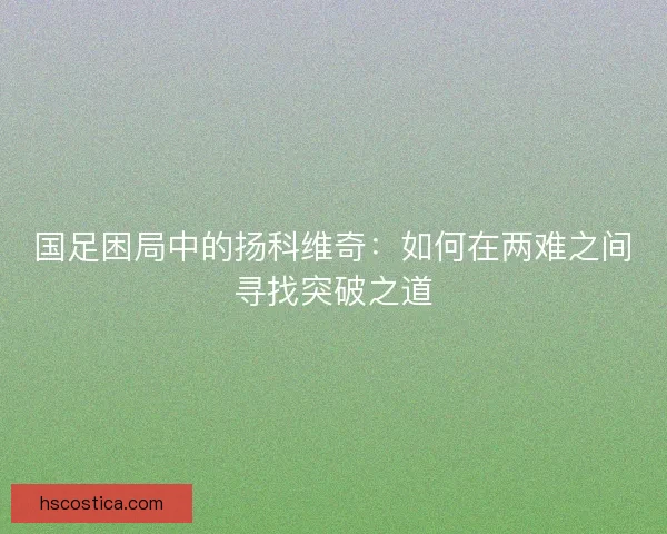 国足困局中的扬科维奇:如何在两难之间寻找突破之道 国足困局中的扬科维奇:如何在两难之间寻找突破之道